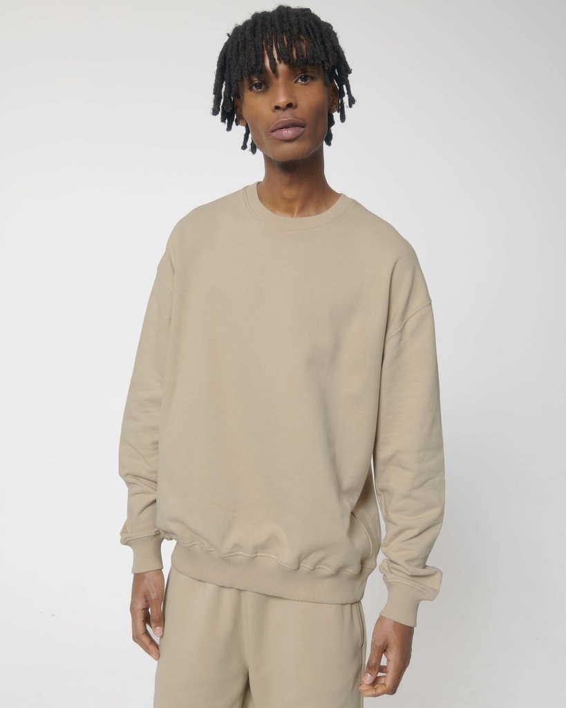 STSU798 Ledger Dry